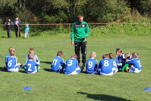 leyu乐鱼体育综合-传奇教练：那些战术大师的执教哲学，传奇教练徽章