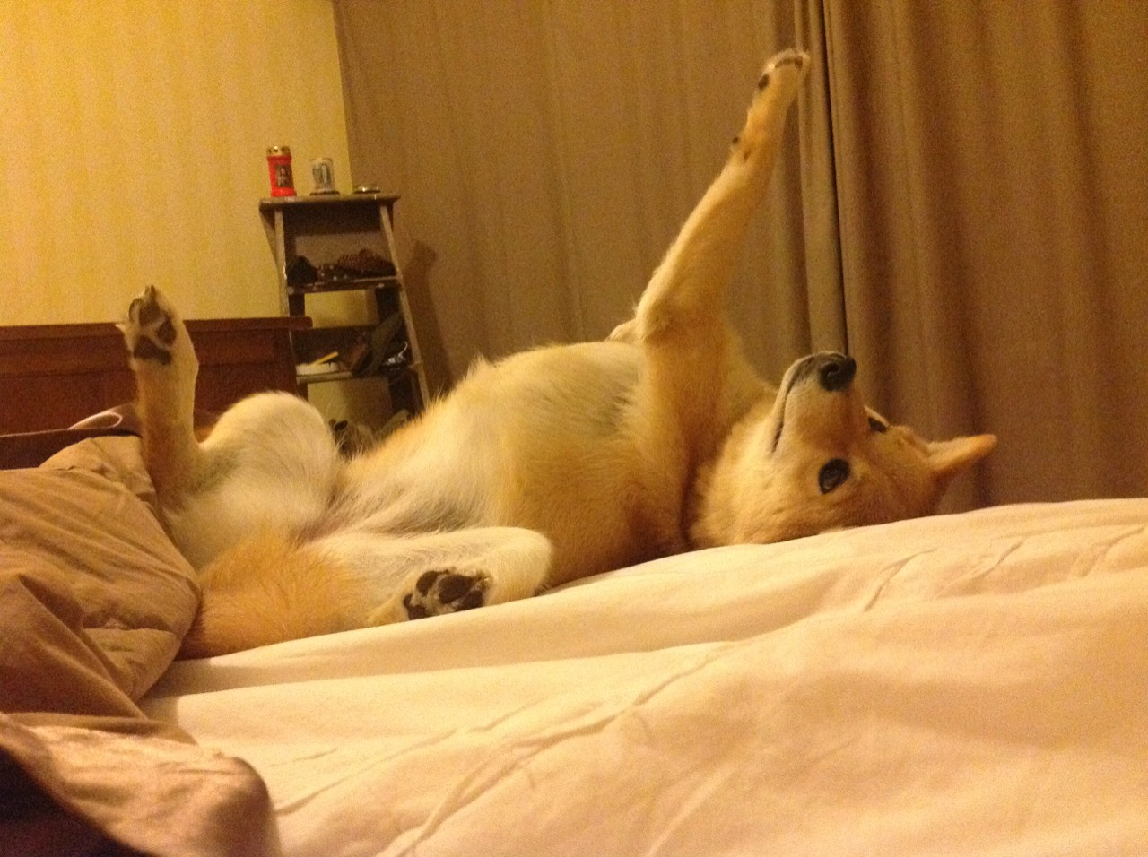 大耳杯:欧冠淘汰赛对阵出炉,悬念十足,欧冠大耳朵杯材质