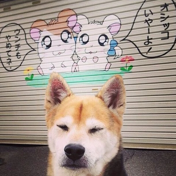 篮球运动员比赛中负荷管理与恢复机制探讨,篮球运动训练负荷分析