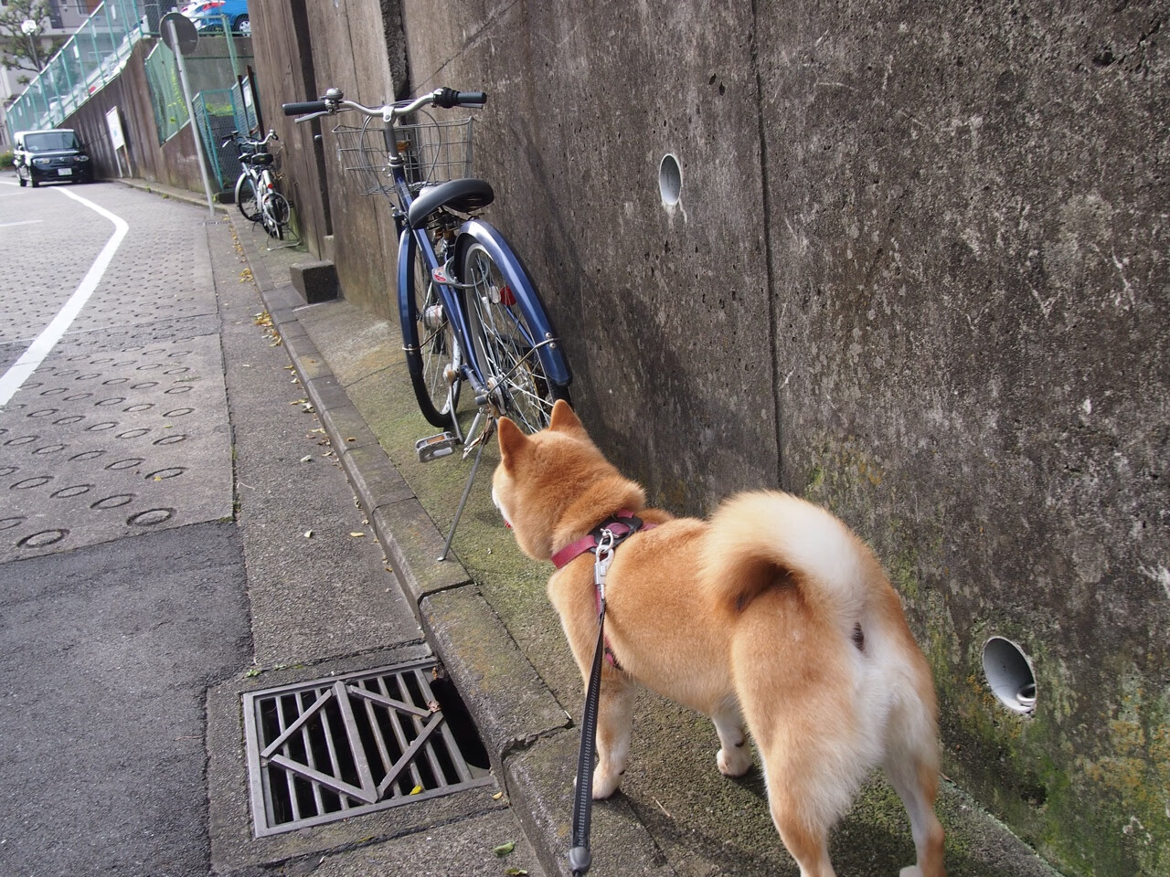 高校体育教师绩效考核体系优化建议,学校体育教师考核方案