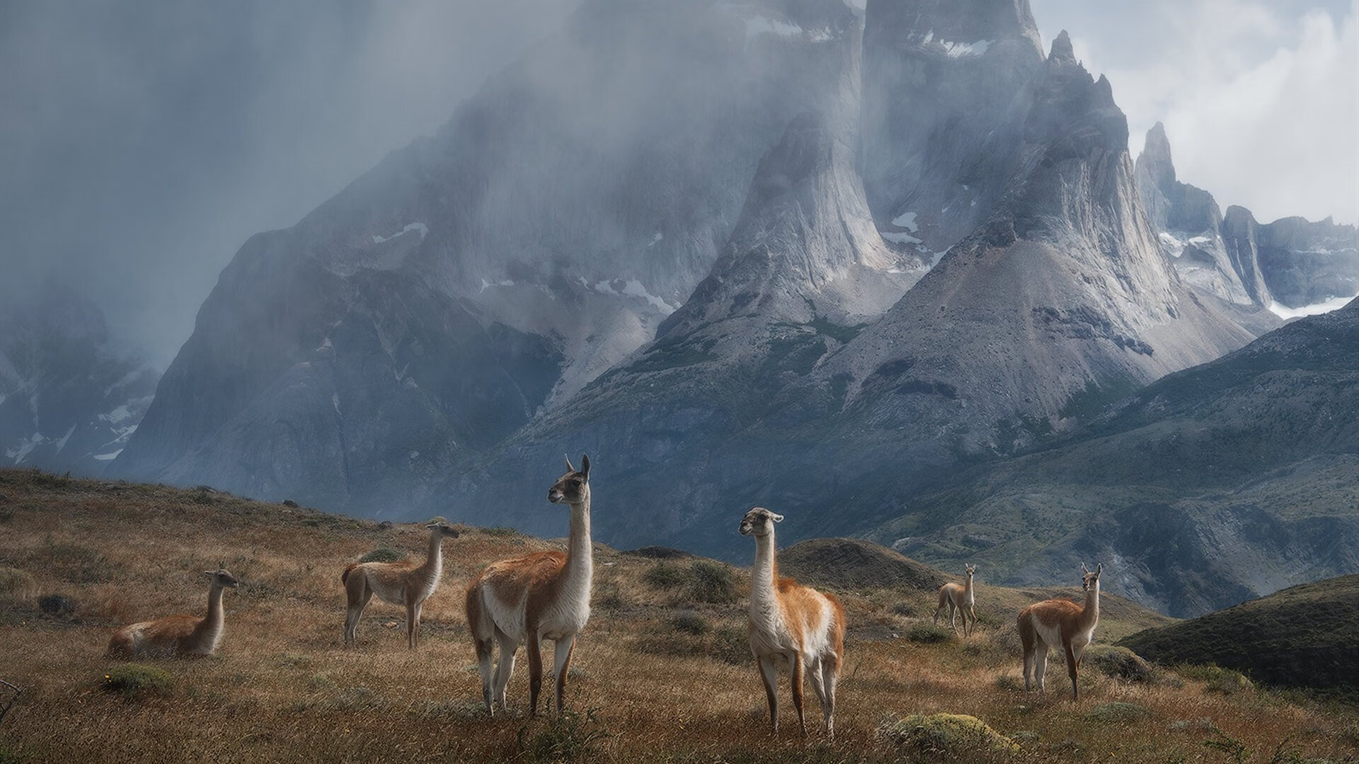 乐鱼电竞-乒乓球赛事吸引全球观众，线上观看量破纪录，观看乒乓球比赛直播的人数有136万人