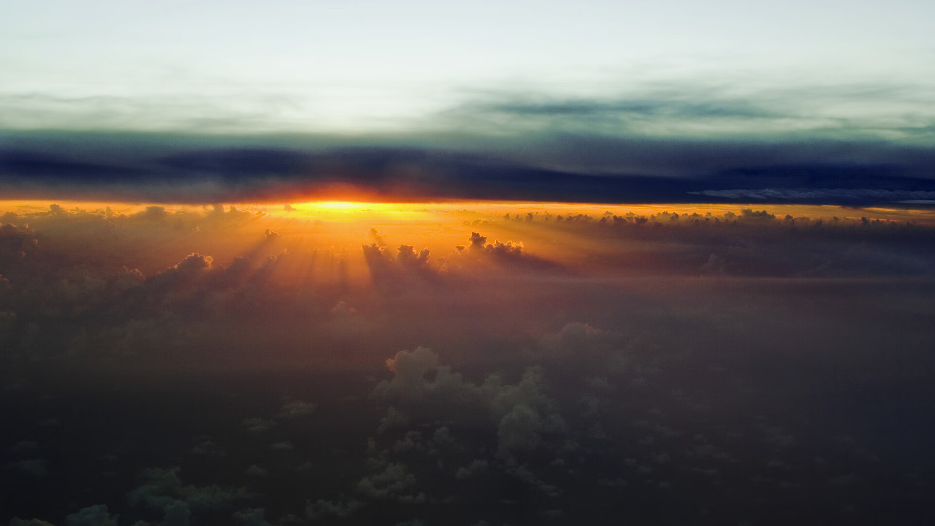 仰泳单项 中国新星首次击败澳洲老将,仰泳 冠军