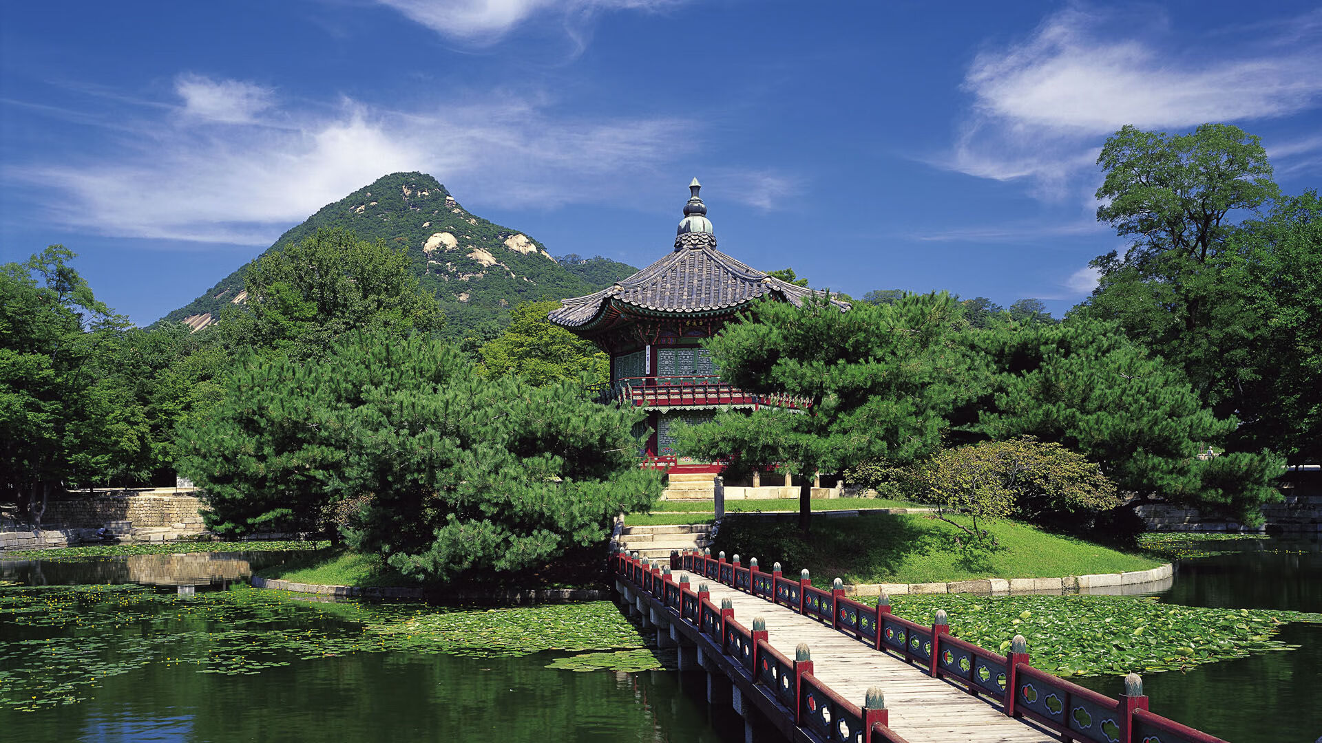 埃及队未来发展：加强人才引进，提升专业训练体系，你知道埃及战队吗