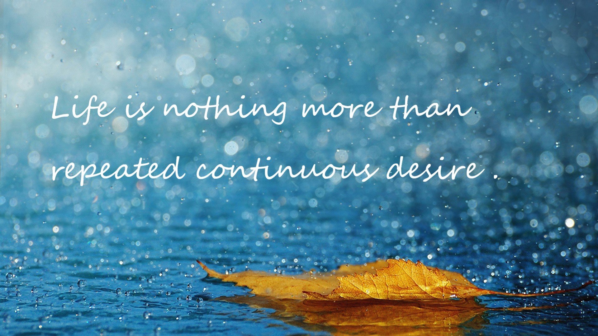 中国足球职业俱乐部青少年球员技术培养持续推进,中国足球青少年足球队