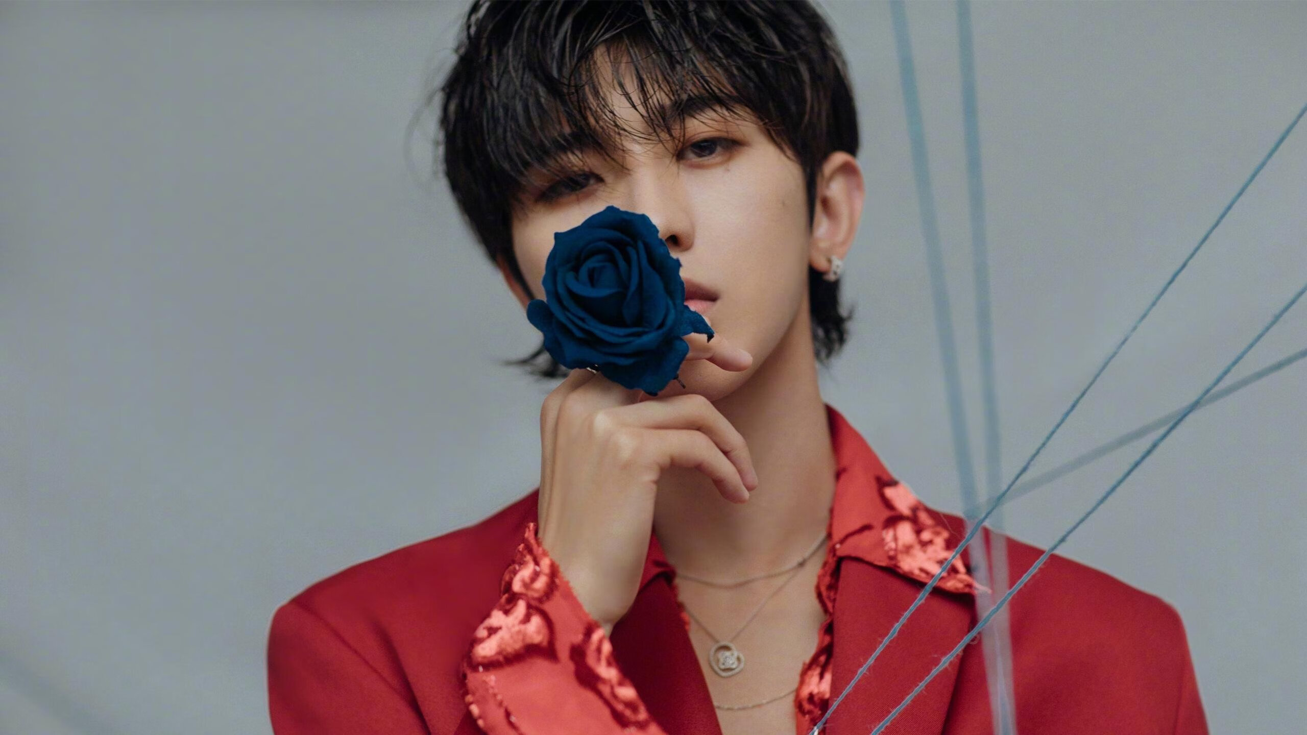 克莱尔稳扎稳打 展现自由泳长项实力,克莱尔jmb