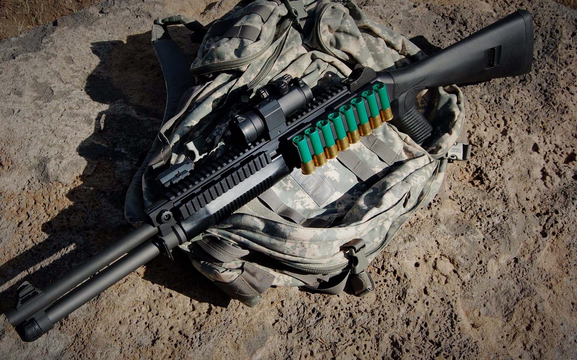 国王外线训练专注三分投射命中率稳定提升,国王队内线