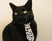 女子篮球青训引入基础战术识别课程提升理解能力,女子篮球队训练方法