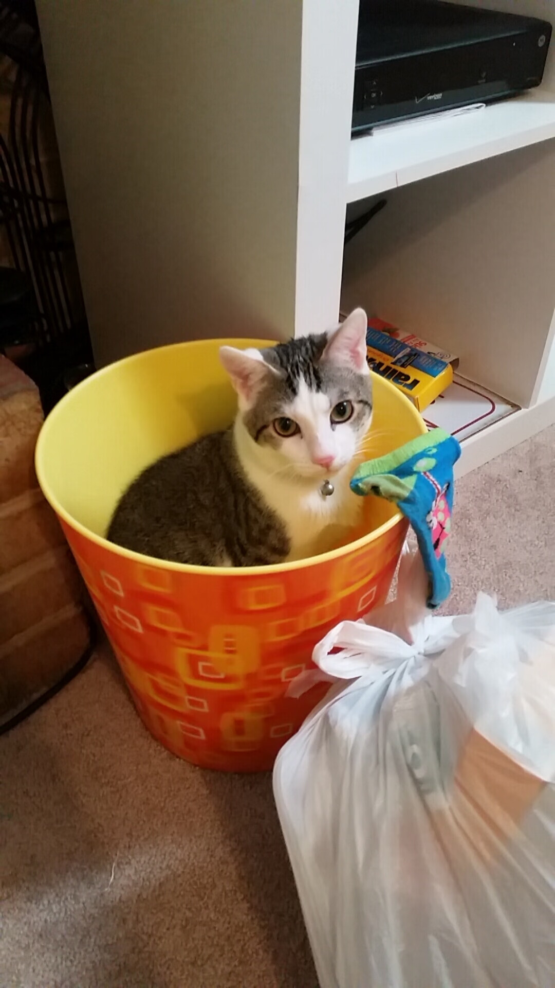 斯洛伐克男篮在欧洲排名持续提升,冲击国际舞台