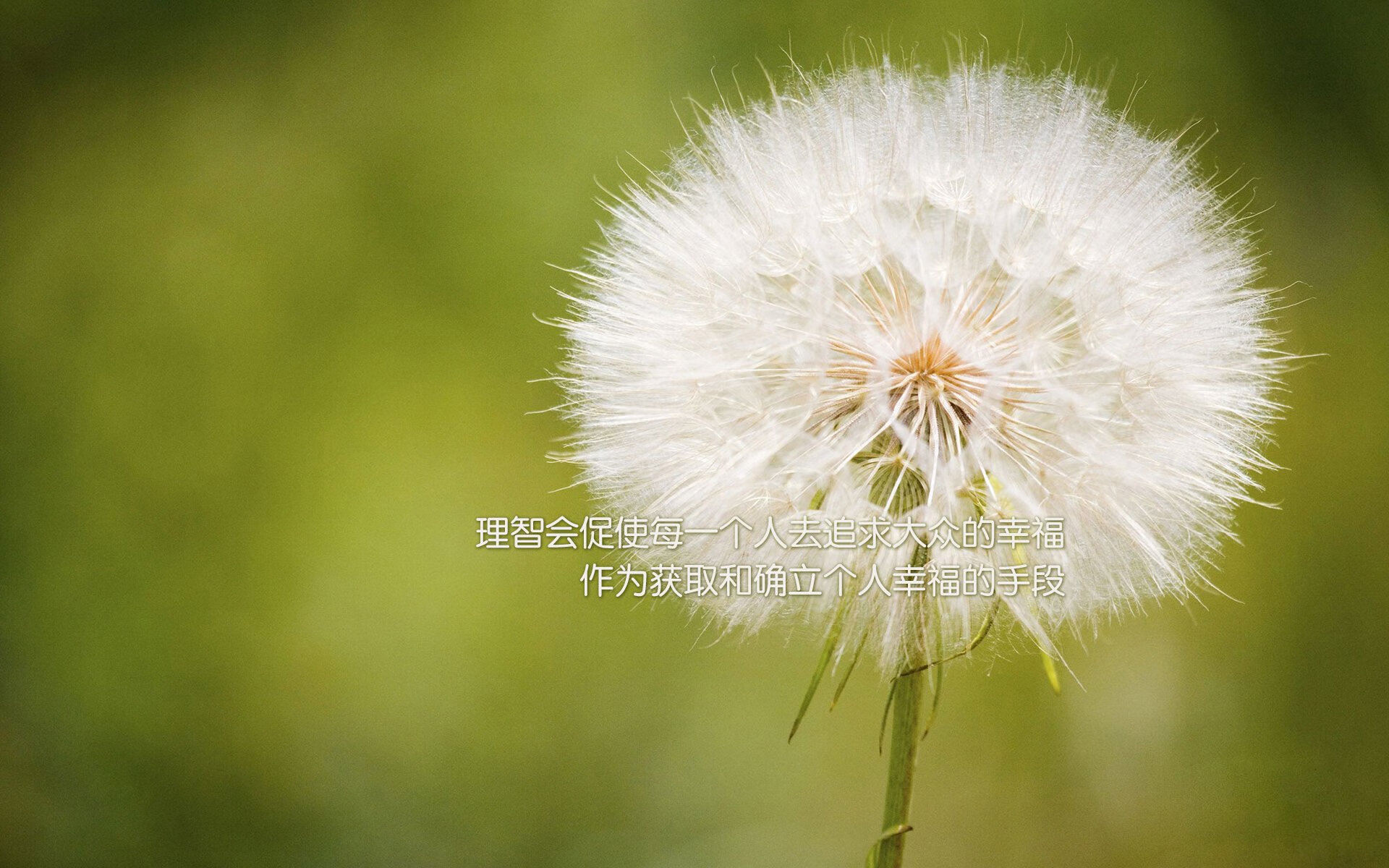 自由泳接力希腊男队突破预期,自由泳男子冠军