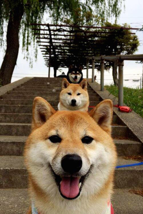 乐鱼体育平台官网-足球青训公益计划在偏远地区推广，足协青训计划